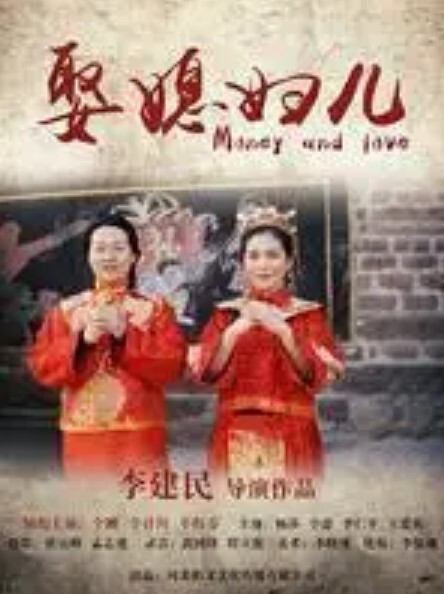 夜鹰让我们在一只迷路的猫身边睡觉吧 - Vv人和动物